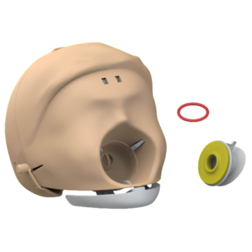 Laerdal Little Anne – Cabeça Completa com Crânio e Mandíbula (pele clara) 