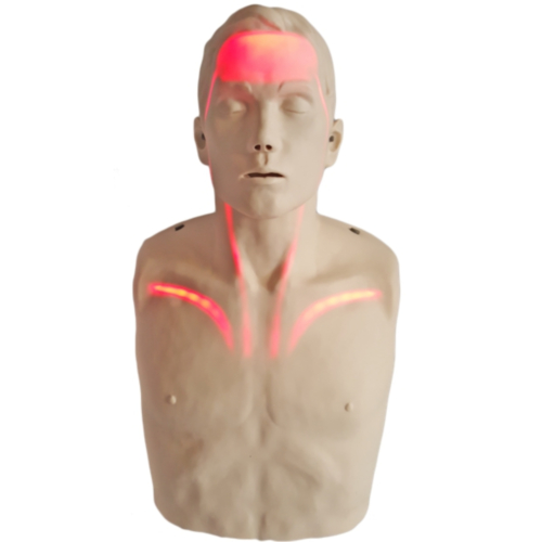 Manequim de ressuscitação Brayden PRO com suporte para aplicação Bluetooth e iluminação LED vermelha - 8504