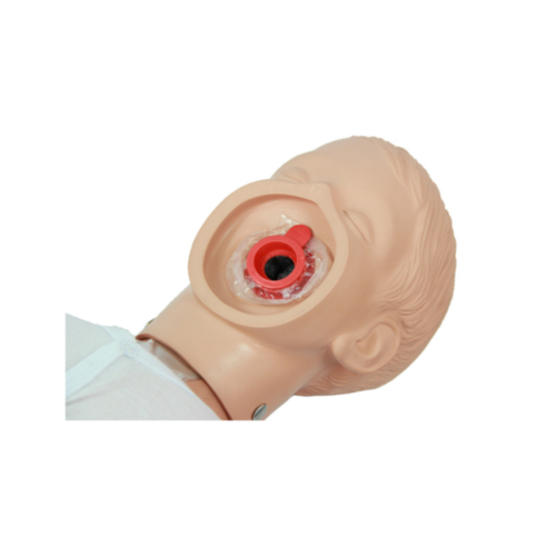 Ambu Junior / Simulaids Criança Kyle peças para a boca/nariz