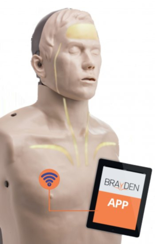 Manequim de ressuscitação Brayden PRO com suporte para aplicação Bluetooth e iluminação LED vermelha - 6786