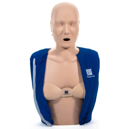 Torsos femininos Prestan Professional – pack de 4 unidades sortidas  - 12541