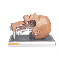 Ambu® Airway Management Trainer