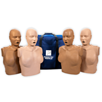 Torsos femininos Prestan Professional – pack de 4 unidades sortidas 